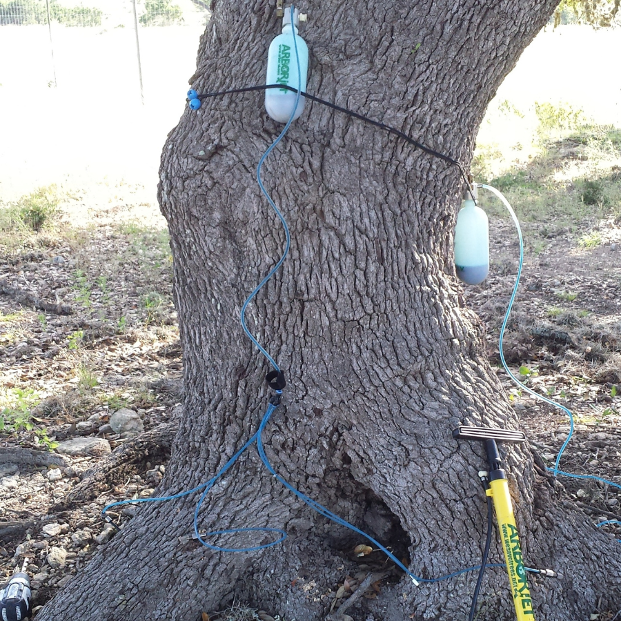 Arborjet Hybrid Injection